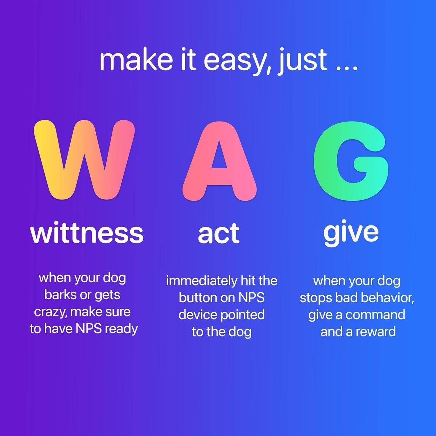 2025 New Dog Trainer