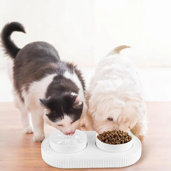Heated Water Bowl For Dogs And Cats Ceramic Heated Pet Water Bowl