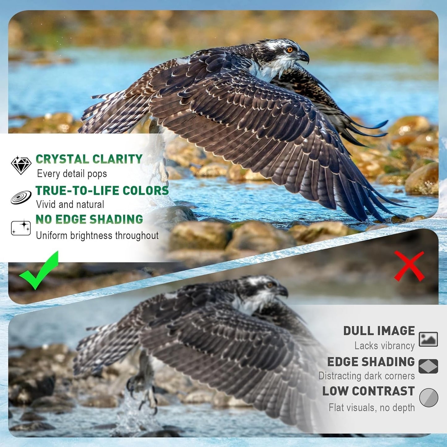 20X50 Outdoor Binoculars, High-power Outdoor Enthusiasts